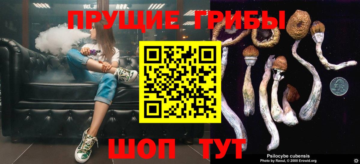 Пыть-Ях  Псилоцибиновые грибы GOLDEN TEACHER  Вход с VPN 