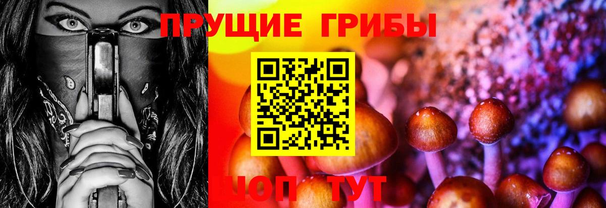 Галлюциногенные грибы GOLDEN TEACHER Пыть-Ях